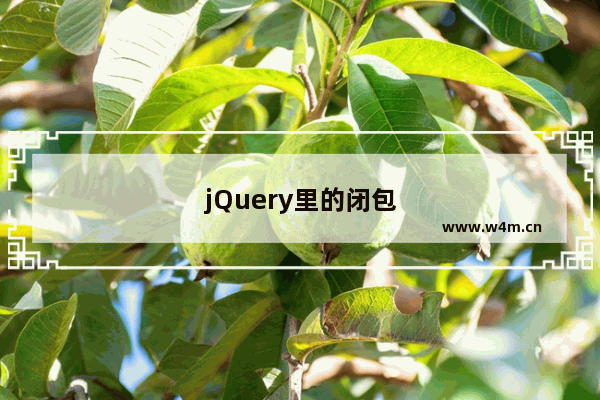 jQuery里的闭包