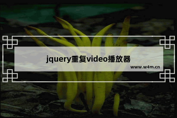 jquery重复video播放器