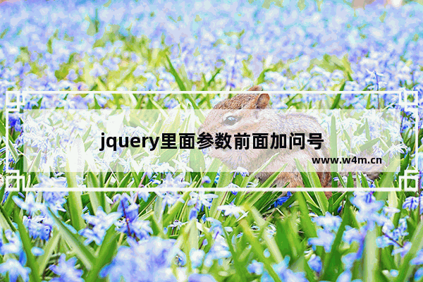 jquery里面参数前面加问号