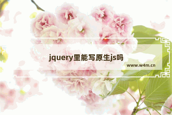 jquery里能写原生js吗