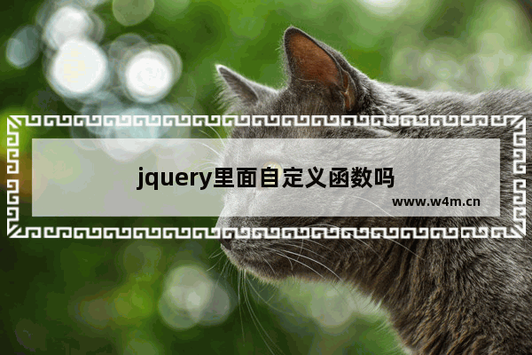 jquery里面自定义函数吗