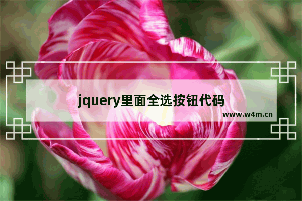 jquery里面全选按钮代码