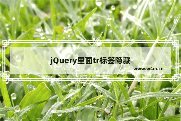 jQuery里面tr标签隐藏