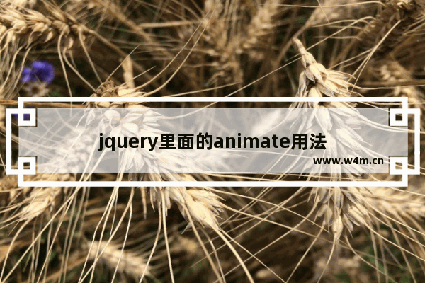 jquery里面的animate用法