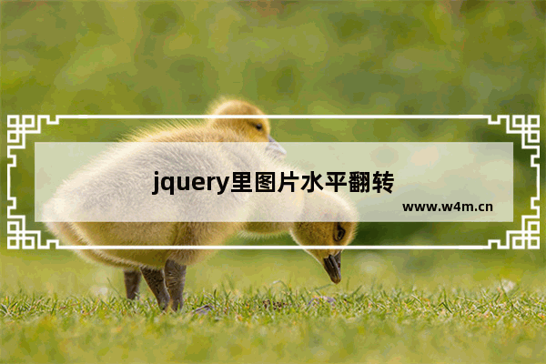 jquery里图片水平翻转