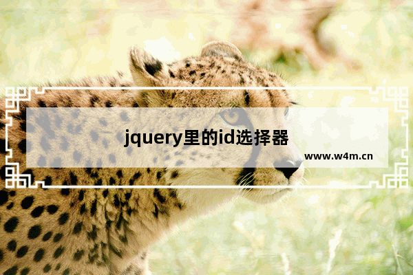 jquery里的id选择器