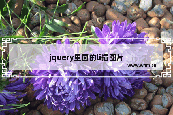 jquery里面的li插图片