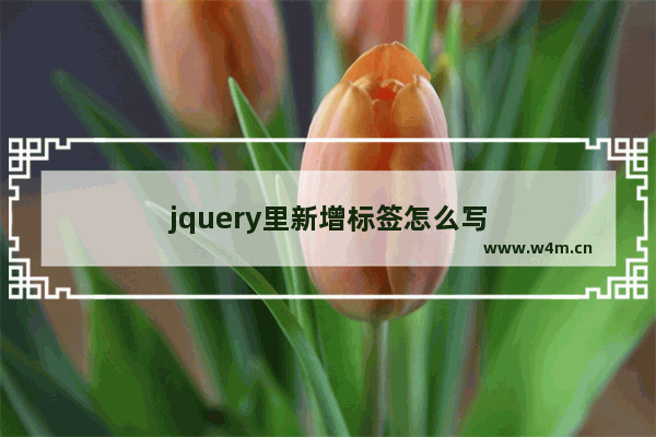 jquery里新增标签怎么写