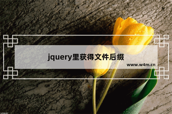 jquery里获得文件后缀