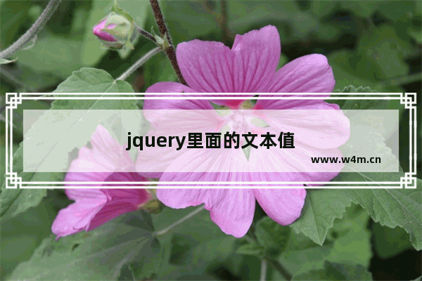 jquery里面的文本值