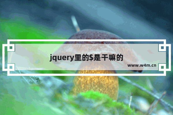 jquery里的$是干嘛的