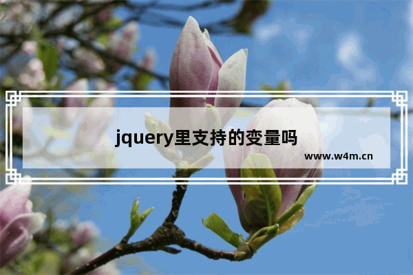 jquery里支持的变量吗