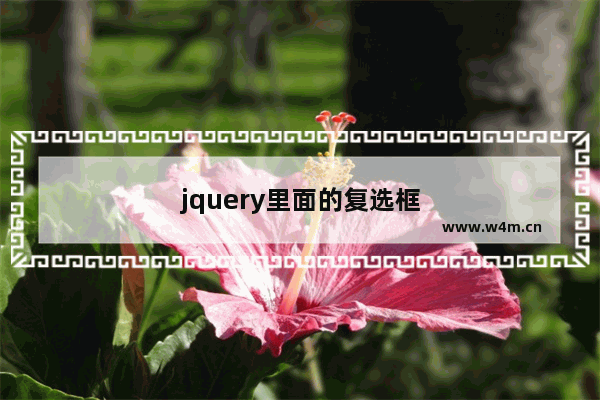 jquery里面的复选框