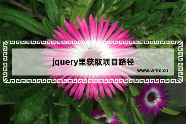 jquery里获取项目路径