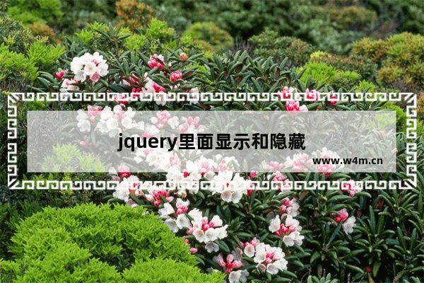 jquery里面显示和隐藏