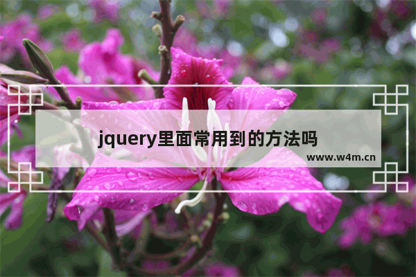 jquery里面常用到的方法吗