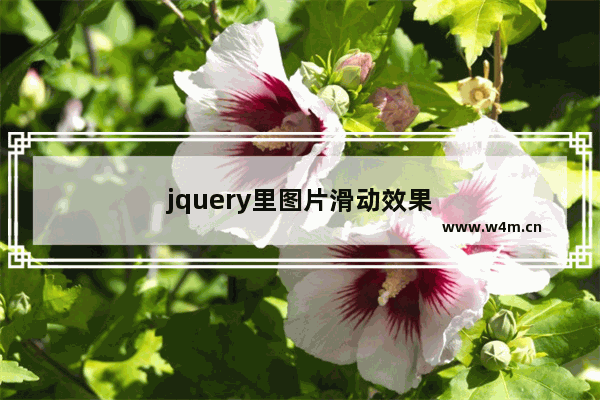 jquery里图片滑动效果