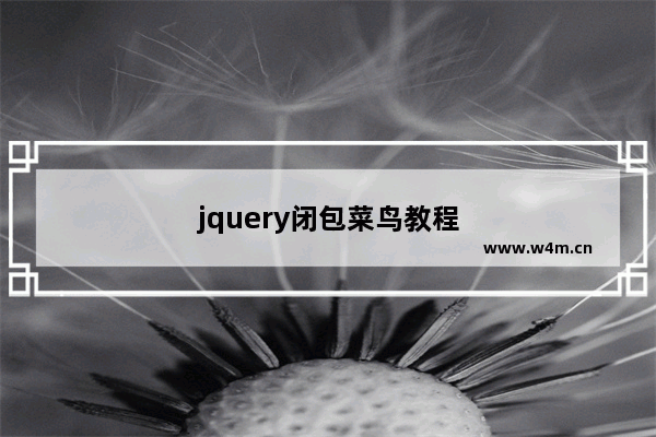 jquery闭包菜鸟教程