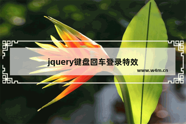 jquery键盘回车登录特效