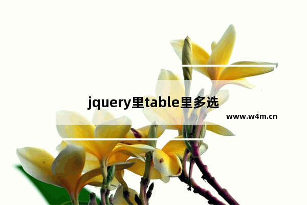 jquery里table里多选