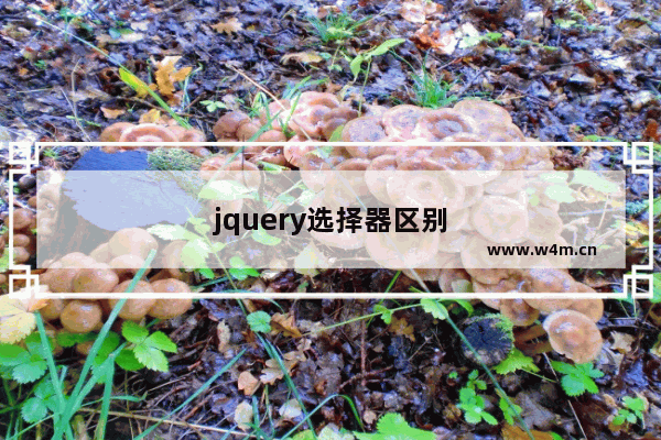 jquery选择器区别