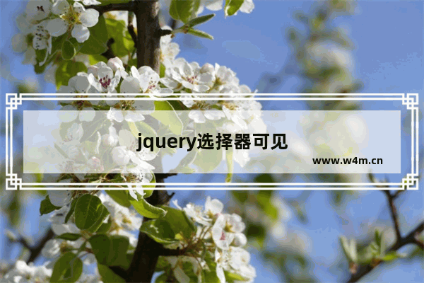 jquery选择器可见