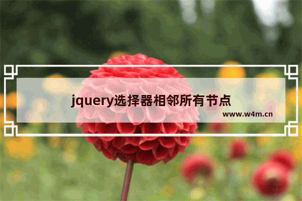 jquery选择器相邻所有节点