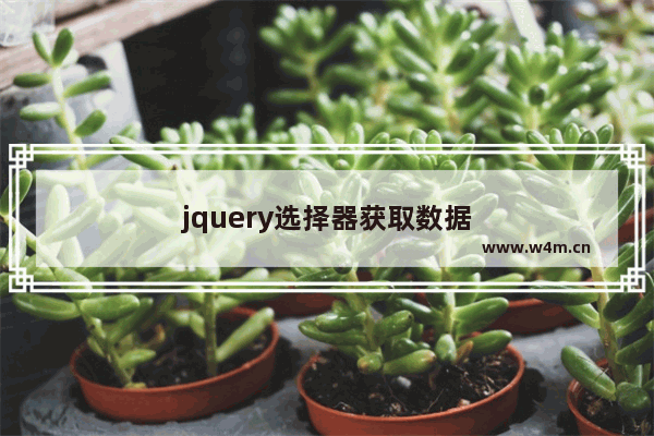 jquery选择器获取数据