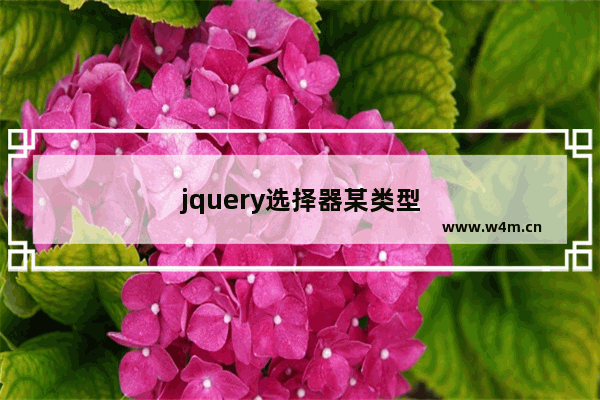 jquery选择器某类型