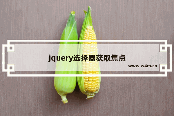 jquery选择器获取焦点