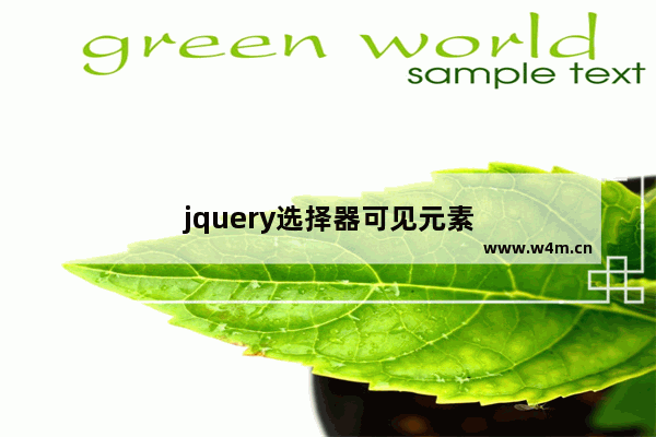 jquery选择器可见元素