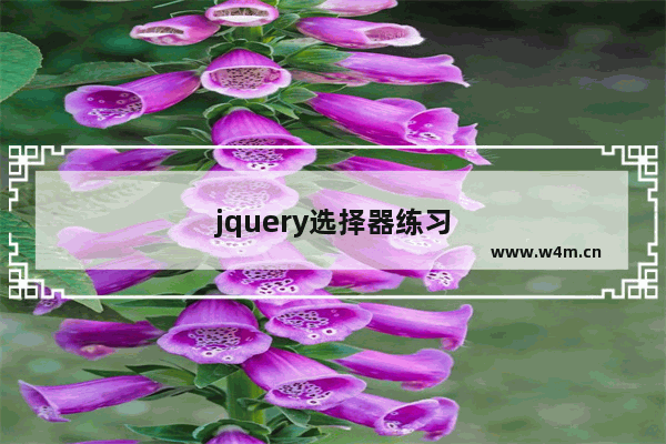 jquery选择器练习