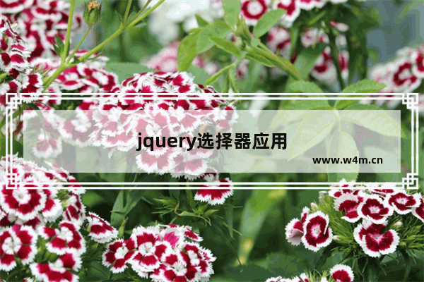 jquery选择器应用