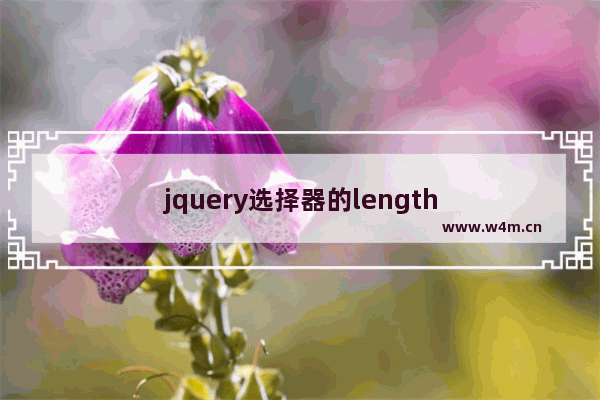 jquery选择器的length