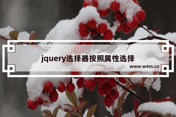 jquery选择器按照属性选择