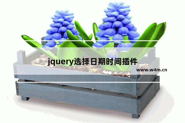 jquery选择日期时间插件