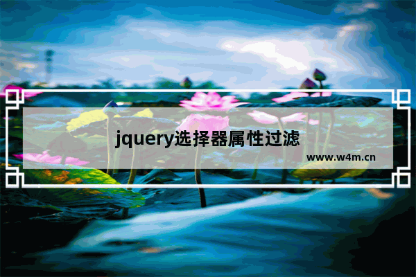 jquery选择器属性过滤