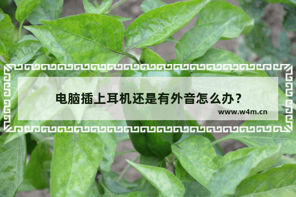 电脑插上耳机还是有外音怎么办？