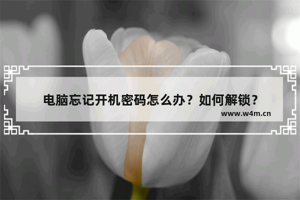 电脑忘记开机密码怎么办？如何解锁？