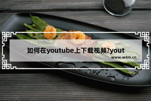 如何在youtube上下载视频?youtube视频下载方法