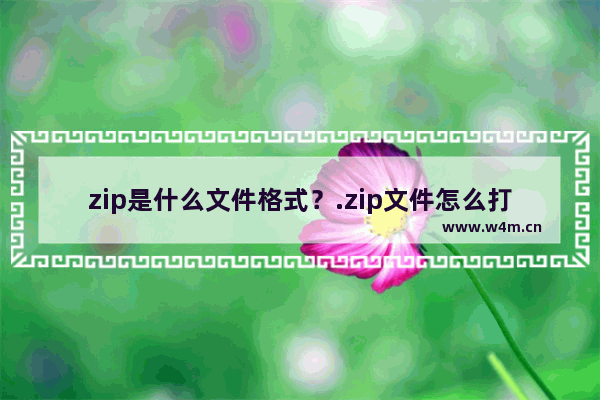 zip是什么文件格式？.zip文件怎么打开？