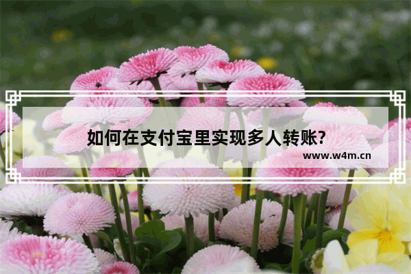 如何在支付宝里实现多人转账?