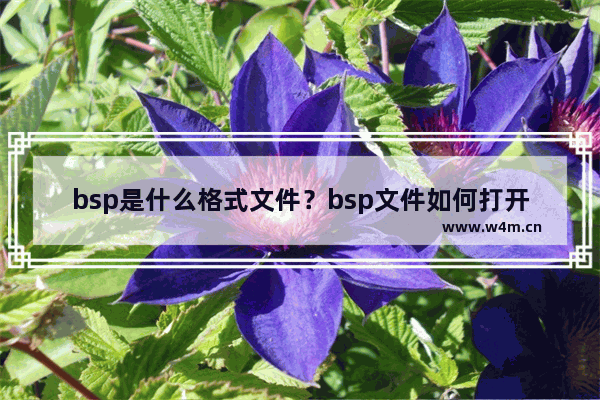 bsp是什么格式文件？bsp文件如何打开？