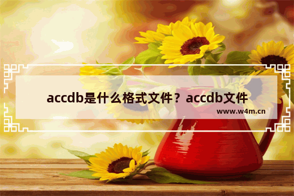 accdb是什么格式文件？accdb文件怎么打开？