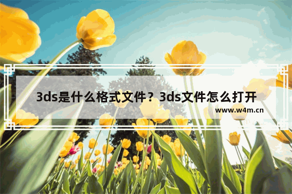 3ds是什么格式文件？3ds文件怎么打开？