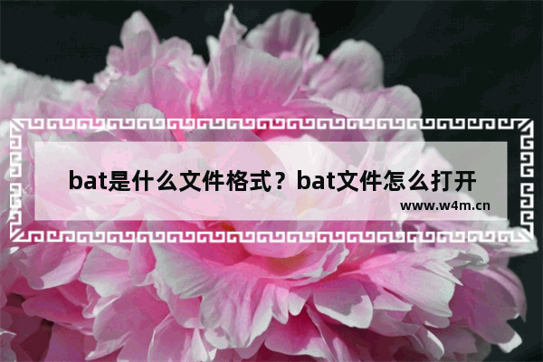 bat是什么文件格式？bat文件怎么打开？