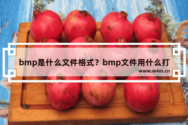 bmp是什么文件格式？bmp文件用什么打开？