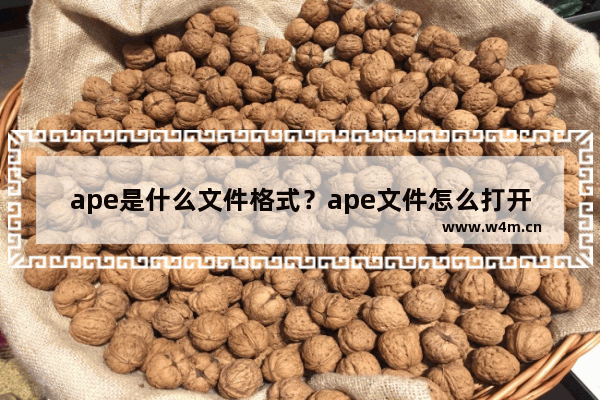 ape是什么文件格式？ape文件怎么打开？