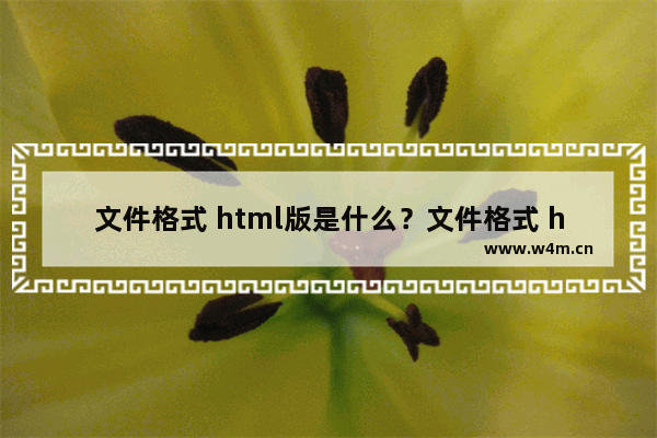 文件格式 html版是什么？文件格式 html版解决方法