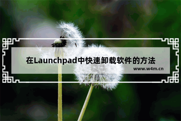 在Launchpad中快速卸载软件的方法